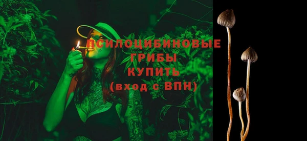 apvp Аркадак