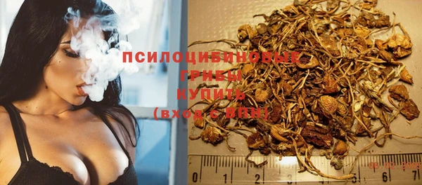 apvp Аркадак