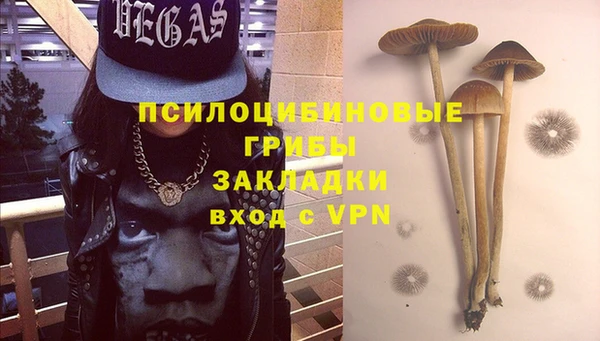 прущая мука Арсеньев