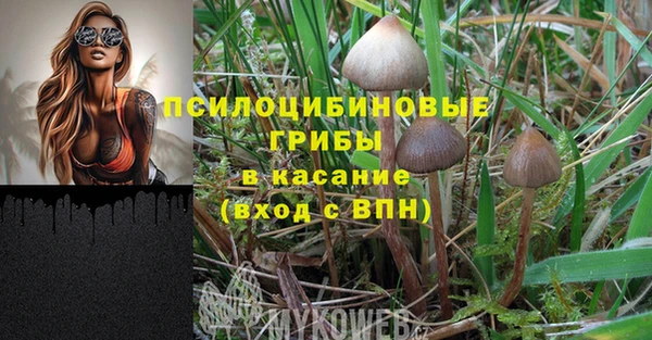 apvp Аркадак